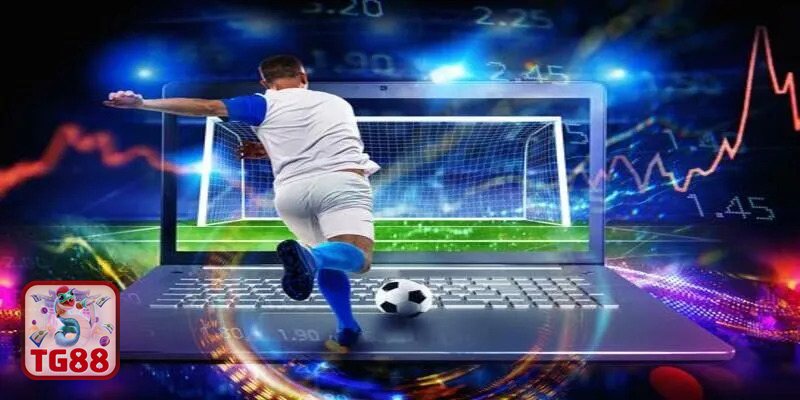 Thể thao SBO - Giao diện tối ưu cho người mới lẫn người chơi lâu năm Thể thao SBO - Giao diện tối ưu cho người mới lẫn người chơi lâu năm